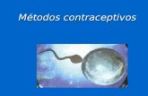 Métodos contraceptivos. O que são métodos contraceptivos? São processos que permitem evitar uma gravidez não desejada. São processos que permitem evitar.