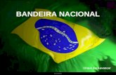 Ria Slides BANDEIRA NACIONAL Clique para avançar.