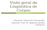 Visão geral da Lingüística de Corpus Discente: Flávia Orci Fernandes Docente: Prof. Dr. Roberto Gomes Camacho.