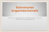 Estruturas organizacionais Conceito, componentes, condicionante, níveis de influência e de abrangência.