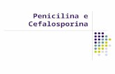Penicilina e Cefalosporina. Penicilina Instabilidade da Penicilina (I) O sistema biciclico © composto por 2 an©is um de 4 e outro de 5 membros, pelo