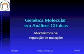 Genética 2001/2002Prof.Doutor José Cabeda Genética Molecular em Análises Clínicas Mecanismos de reparação de mutações.