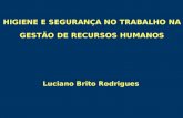 HIGIENE E SEGURANÇA NO TRABALHO NA GESTÃO DE RECURSOS HUMANOS Luciano Brito Rodrigues.