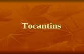 Tocantins. PALMAS – A CAPITAL DE TOCANTINS Bandeira do Estado do Tocantins.