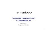 1 Professor Wagner Andrade COMPORTAMENTO DO CONSUMIDOR 5º PERÍODO.