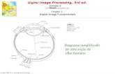 Digital Image Processing, 3rd ed.  © 1992–2008 R. C. Gonzalez & R. E. Woods Gonzalez & Woods Chapter 2 Digital Image Fundamentals.