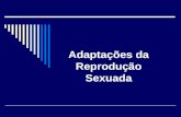 Adaptações da Reprodução Sexuada. EVOLUÇÃO Prof. Eric Santos Araujo 22-10-2009 SELEÇÃO SEXUAL.