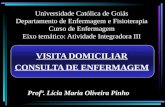 Universidade Católica de Goiás Departamento de Enfermagem e Fisioterapia Curso de Enfermagem Eixo temático: Atividade Integradora III VISITA DOMICILIAR.