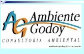 LICENCIAMENTO AMBIENTAL ambiente godoy – consultoria ambiental ltda..
