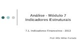 Análise - Módulo 7 Indicadores Estruturais 7.1. Indicadores Financeiros - 2013 Prof. MSc Wilter Furtado.