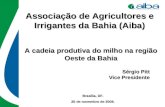 Associação de Agricultores e Irrigantes da Bahia (Aiba) A cadeia produtiva do milho na região Oeste da Bahia Sérgio Pitt Vice Presidente Brasília, DF.