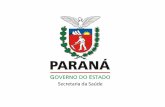 PROGRAMA DE CONTROLE DA DENGUE Paraná - 2011 UFPR SEED.