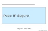 2009, Edgard Jamhour IPsec: IP Seguro Edgard Jamhour.
