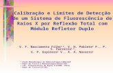 Calibração e Limites de Detecção de um Sistema de Fluorescência de Raios X por Reflexão Total com Módulo Refletor Duplo V. F. Nascimento Filho 1,2, V.