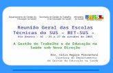 Reunião Geral das Escolas Técnicas do SUS – RET-SUS – Rio Branco – AC – 25 a 27 de outubro de 2005 A Gestão do Trabalho e da Educação na Saúde sob Nova.