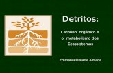 Detritos: Carbono orgânico e o metabolismo dos Ecossistemas Emmanuel Duarte Almada.