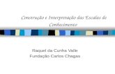 Construção e Interpretação das Escalas de Conhecimento Raquel da Cunha Valle Fundação Carlos Chagas.