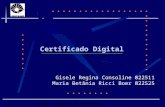 MP 202 – Segurança da Informação Certificado Digital Gisele Regina Consoline 022511 Maria Betânia Ricci Boer 022525.