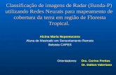 Classificação de imagens de Radar (Banda-P) utilizando Redes Neurais para mapeamento de cobertura da terra em região de Floresta Tropical. Alcina Maria.