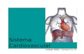 Sistema Cardiovascular Colégio INEDI - Turmas 71 e 72.