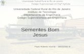 Universidade Federal Rural do Rio de Janeiro Instituto de Tecnologia Departamento de Engenharia Estágio Supervisionado em Engenharia Sementes Bom Jesus.