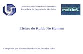 Universidade Federal de Uberlândia Faculdade de Engenharia Mecânica Efeitos do Ruído No Homem Compilado por Ricardo Humberto de Oliveira Filho.