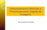 Sensoriamento Remoto e Processamento Digital de Imagens Iana Alexandra Alves Rufino.