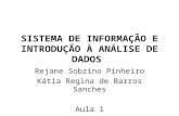 SISTEMA DE INFORMAÇÃO E INTRODUÇÃO À ANÁLISE DE DADOS Rejane Sobrino Pinheiro Kátia Regina de Barros Sanches Aula 1.