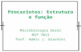 Procariotos: Estrutura e função Microbiologia Geral MIP 7013 Prof. Admir J. Giachini.