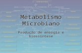 Metabolismo Microbiano Produção de energia e biossíntese.