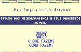 Ecologia microbiana ESTUDO DOS MICRORGANISMOS E SEUS PROCESSOS IN VIVO.