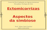Curso de Pós-Graduação em Agroecossistemas Disciplina: Ecologia do Solo Ectomicorrizas Aspectos da simbiose Prof. Admir José Giachini MIP-CCB-UFSC.