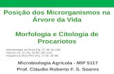 Posição dos Microrganismos na Árvore da Vida Morfologia e Citologia de Procariotos Microbiologia Agrícola - MIP 5117 Prof. Cláudio Roberto F. S. Soares.