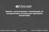 Síntese, caracterização e estabilização de nanopartículas de prata para aplicações bactericidas Marcus Vinicius D. Garcia Prof. Dr. Wagner S. Oliveira.