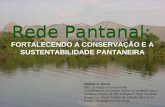 Rede Pantanal: Rede Pantanal: FORTALECENDO A CONSERVAÇÃO E A SUSTENTABILIDADE PANTANEIRA Rafaela D. Nicola MSc. Ecologia e Conservação Coordenadora do.