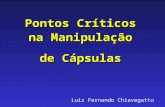 Luiz Fernando Chiavegatto Pontos Críticos na Manipulação de Cápsulas.