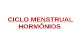 CICLO MENSTRUAL HORMÔNIOS. HIPÓFISE LH hormônio luteinizante Responsável pelo rompimento do folículo maduro (OVULAÇÃO) e formação do corpo lúteo FSH
