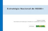 Estratégia Nacional de REDD+ Carlos A. Klink Secretaria de Mudanças Climáticas e Qualidade Ambiental.
