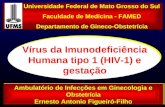 Vírus da Imunodeficiência Humana tipo 1 (HIV-1) e gestação Ambulatório de Infecções em Ginecologia e Obstetrícia Ernesto Antonio Figueiró-Filho Universidade