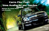 Carro Flex Fuel: Uma Avaliação por Opções Reais IAG – PUC/RJ 2007 Mariana de Lemos Alves Luiz Brandão.