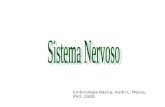 Embriologia Básica; Keith L. Moore, PhD. 2000. Sistema Nervoso Sistema Nervoso Central (SNC) – Encéfalo e Medula Espinhal Sistema Nervoso Periférico (SNP)