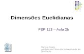 FEP 113 – Aula 2b Dimensões Euclidianas Marcus Raele Instituto de Física da Universidade de São Paulo.