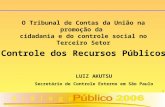 1 Controle dos Recursos Públicos LUIZ AKUTSU Secretário de Controle Externo em São Paulo O Tribunal de Contas da União na promoção da cidadania e do controle.