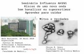 Seminário Influenza AH1N1 Riscos de uma nova onda Sem banalizar ou superestimar Aprender para cuidar Imunização: Mitos e Verdades Belo Horizonte, 20 Abril.