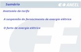 A suspensão do fornecimento de energia elétrica Anatomia da tarifa Sumário O furto de energia elétrica.