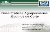 Boas Práticas Agropecuárias Bovinos de Corte Embrapa Pecuária Sudeste Sérgio Novita Esteves sac@cppse.embrapa.br.