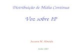 Distribuição de Mídia Contínua Voz sobre IP Jussara M. Almeida Junho 2005.