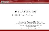RELATÓRIOS Joseane Aparecida Corrêa Auditora Fiscal de Controle Externo Chefe do Departamento de Capacitação joseane@tce.sc.gov.br Instituto de Contas.