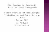 Cie-Centro de Educação Profissional Integrado Curso Técnico em Radiologia Trabalho de Módulo Crânio e Face Turma:082 VI Módulo Turno:noite.