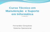 Curso Técnico em Manutenção e Suporte em Informática Fernandes Gonçalves Sistema Operacional 17-08-2011.